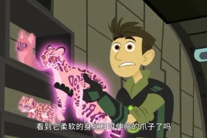 《动物兄弟》全6季动画资源合集