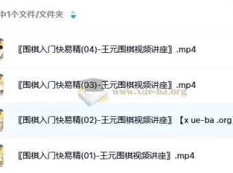 《围棋入门快易精》——王元围棋视频讲座