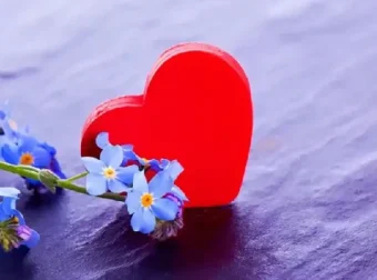 有道精品课《恋爱心理学》：科学解读亲密关系与情感经营