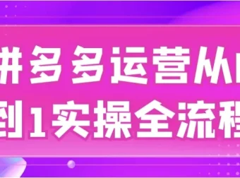 拼多多运营从0到1实操全流程课程