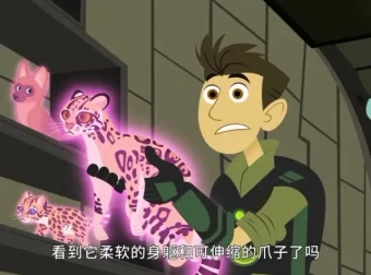 《动物兄弟》全6季动画资源合集