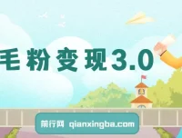 羊毛粉变现3.0：全网独家引流，小白轻松上手