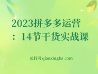 拼多多运营干货实战课