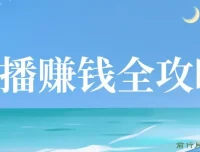 直播赚钱全攻略课程