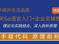 16天Go语言入门与企业实操教程