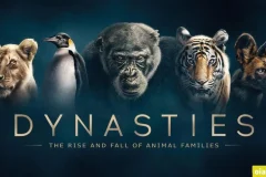 BBC纪录片《王朝 Dynasties》（2018）全5集