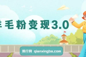 羊毛粉变现3.0：全网独家引流，小白轻松上手