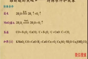 乐乐课堂：中考化学高效复习与能力提升课程