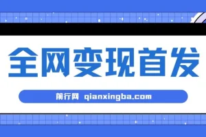 新手实操互联网项目：单号日入500+，收益稳定可批量放大