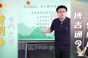 采桥老师小学语文写作阅读全套课程