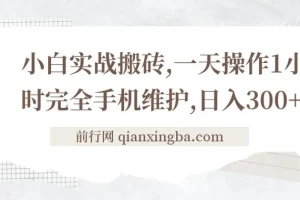 小白实战搬砖：手机维护日入300+，每日仅需操作1小时