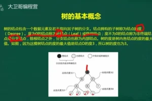 C++竞赛初阶45讲：数据结构与算法精讲