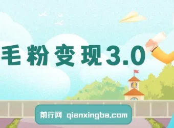 羊毛粉变现3.0：全网独家引流，小白轻松上手