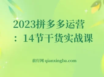 拼多多运营干货实战课