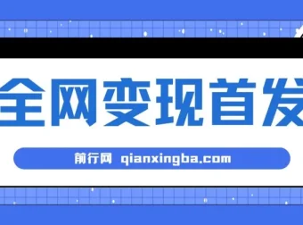 新手实操互联网项目：单号日入500+，收益稳定可批量放大