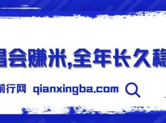 日入1000+，娱乐新风口：演唱会门票赚钱项目