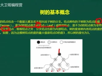 C++竞赛初阶45讲：数据结构与算法精讲