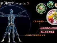 乐乐课堂初中生物动画视频：初一初二生物知识全解析