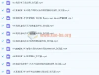 张元振2024高三高考生物暑假班课程