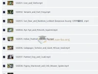 BBC户外自然科普儿童英文节目《Go Wild》（第一季+第二季，视频+音频）