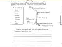 曹文教授英语写作技巧精讲课程（3 – 4级）