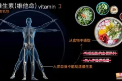 乐乐课堂初中生物动画视频：初一初二生物知识全解析