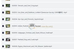 BBC户外自然科普儿童英文节目《Go Wild》（第一季+第二季，视频+音频）