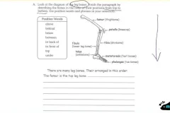 曹文教授英语写作技巧精讲课程（3 – 4级）