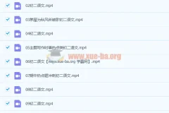 段微微八年级语文春季课程16讲完结