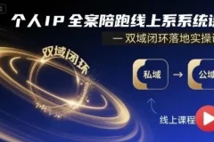 个人IP全案陪跑线上系统课：双域闭环落地实操课