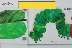 阿古早教：明星老师精讲《好饿的毛毛虫》亲子互动课