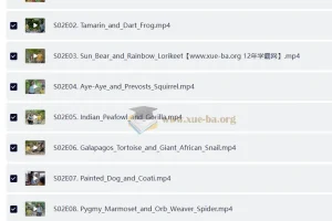 BBC户外自然科普儿童英文节目《Go Wild》（第一季+第二季，视频+音频）