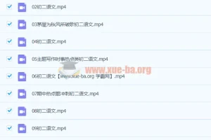 段微微八年级语文春季课程16讲完结