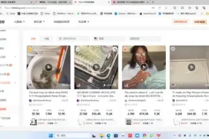 TikTok达人变现实战课：从0到1掌握短视频运营