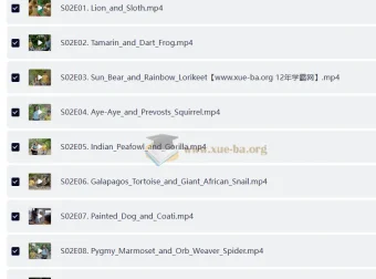 BBC户外自然科普儿童英文节目《Go Wild》（第一季+第二季，视频+音频）