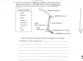 曹文教授英语写作技巧精讲课程（3 – 4级）