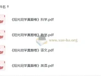 阳光同学小升初语文、数学、英语、科学真题卷