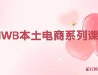 跨境电商新蓝海：OZON本土电商全攻略，涵盖选品、优化与订单处理
