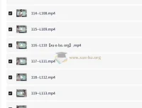 琦哥314记忆法记单词课程