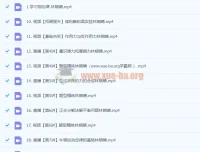 2024高一暑假林婉晴高中物理课程