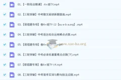 初三中考语文刘璐2024 – 2025 A+班全季课程