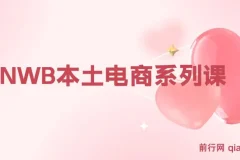 跨境电商新蓝海：OZON本土电商全攻略，涵盖选品、优化与订单处理