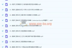 2024高一暑假林婉晴高中物理课程