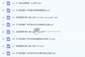 初三中考语文刘璐2024 – 2025 A+班全季课程