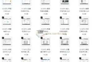 WPS全套教程合集：助小白秒变办公高手