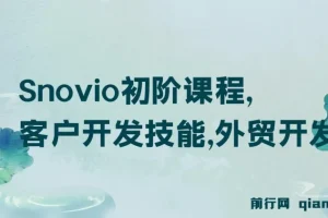Snovio初阶课程：掌握客户开发技能与外贸开发信撰写