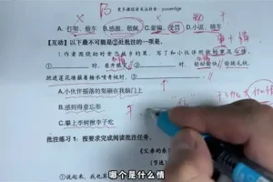 语文五哥亲授：初中生文学素养批注与语文能力提升课程