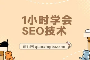 1小时学会SEO技术：网站排名优化实战高级教程