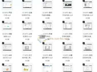 WPS全套教程合集：助小白秒变办公高手