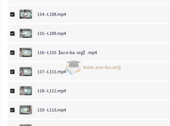 琦哥314记忆法记单词课程
